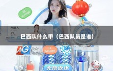 巴西队什么甲（巴西队员是谁）