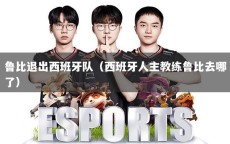 鲁比退出西班牙队（西班牙人主教练鲁比去哪了）