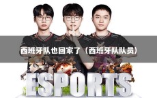 西班牙队也回家了（西班牙队队员）