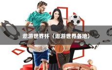 遨游世界杯（遨游世界各地）