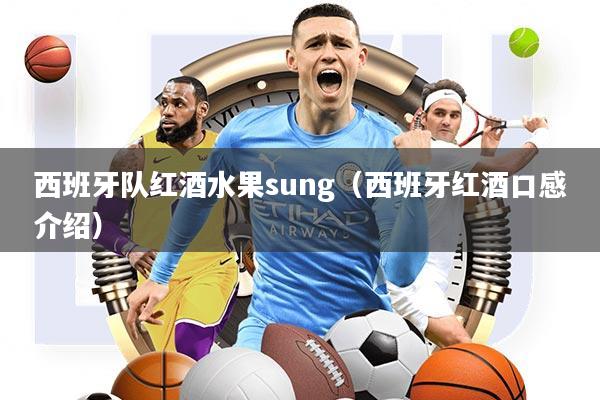 西班牙队红酒水果sung(西班牙红酒口感介绍)