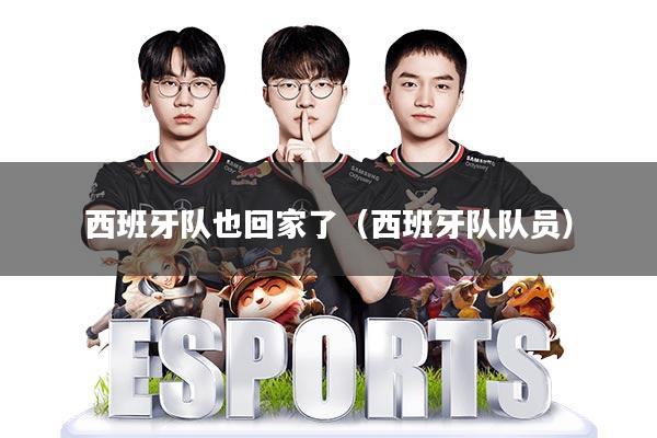 西班牙队也回家了(西班牙队队员)